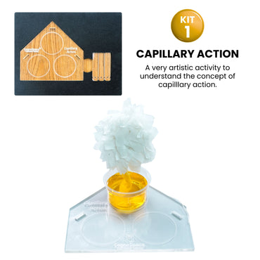 Practiko Class 6 Science Kit – Water & Surface Behavior experiment setup; Student performing Water & Surface Behavior activity – Practiko science learning kit; Science concept demonstration from Water & Surface Behavior kit by Practiko; Hands-on learning with Practiko Water & Surface Behavior science STEM kit; Water & Surface Behavior kit materials and tools for Grade 6 science experiments