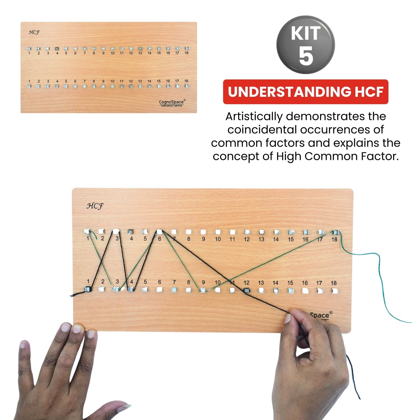 Patterns, Percentages & Problem Solving | 5 kits in 1 Bundle | Math | Grade 7