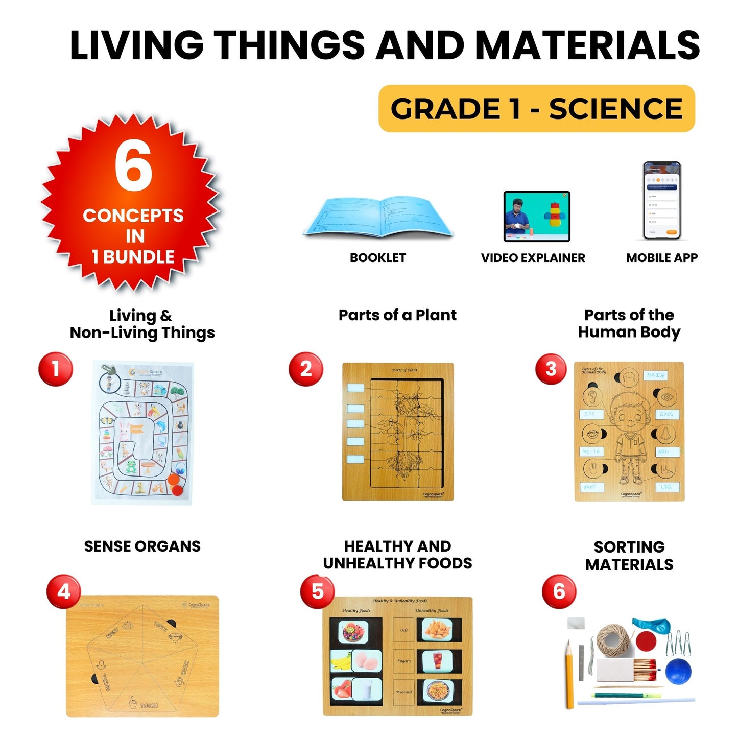 Living Things and Materials – Hands-On Science Kit for Grade 1 with 6 Engaging Concepts