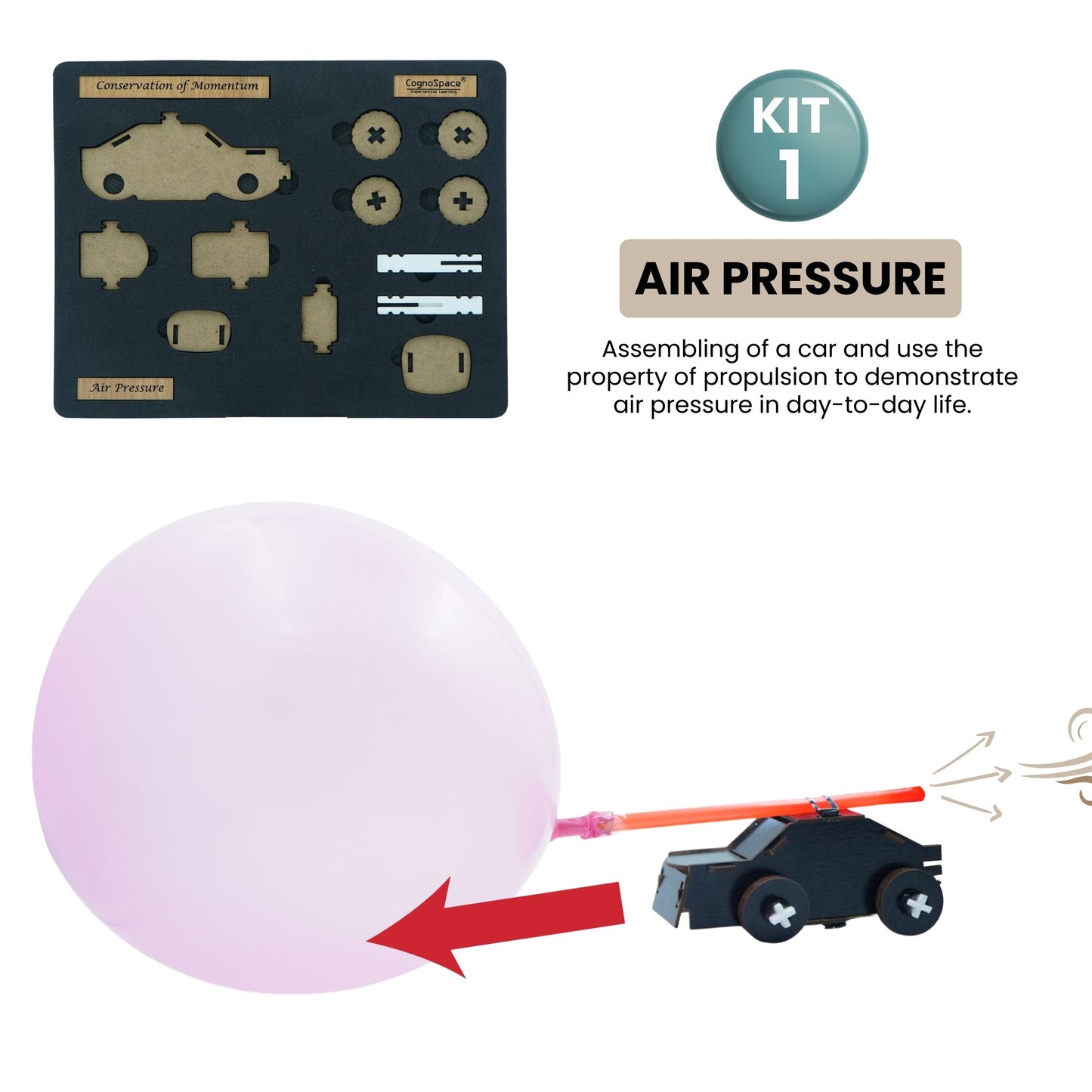 Matter and Natural Forces | 5 kits in 1 Bundle | Science | Grade 6