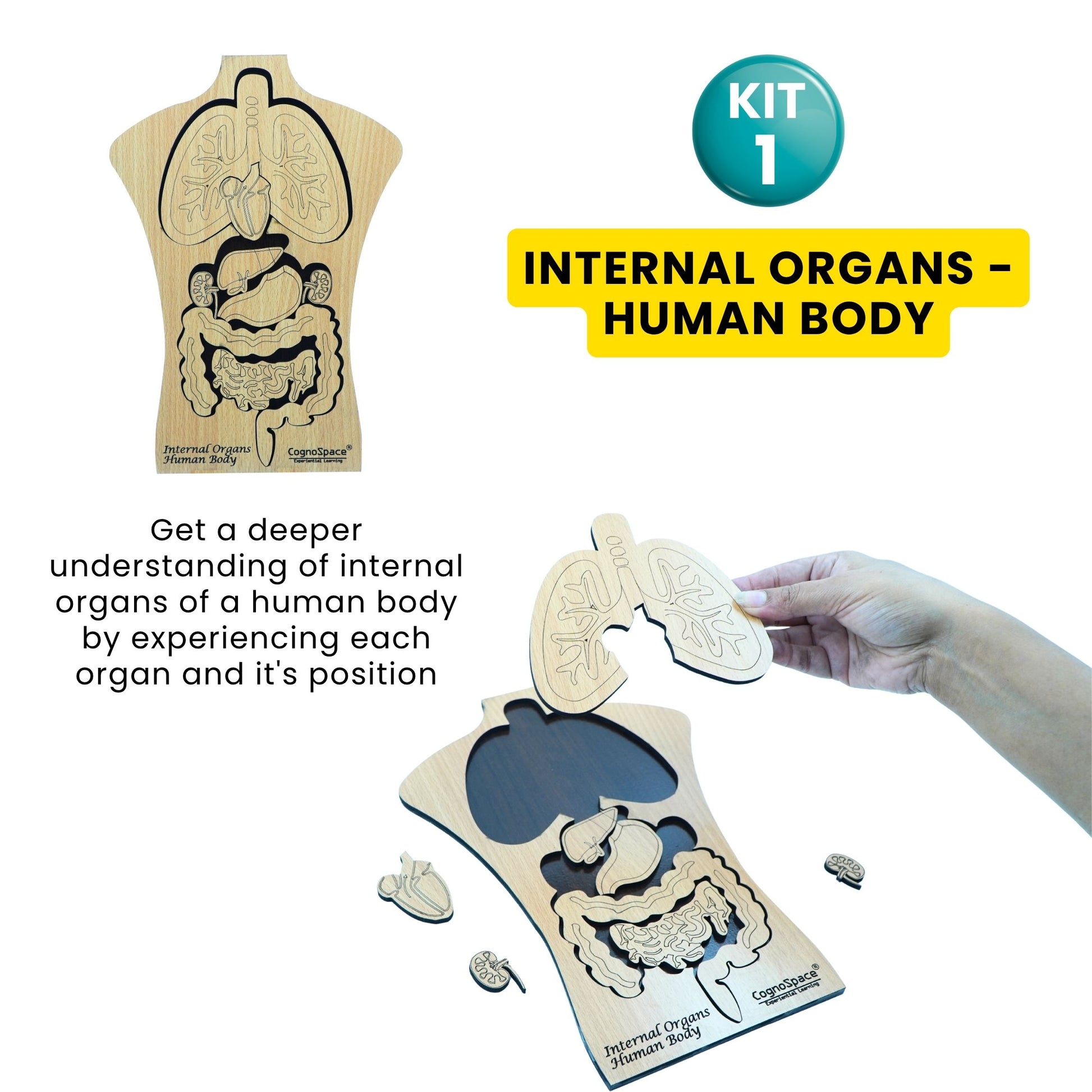 Practiko Class 3 Science Kit – Earth, Space & Body experiment setup; Student performing Earth, Space & Body activity – Practiko science learning kit; Science concept demonstration from Earth, Space & Body kit by Practiko; Hands-on learning with Practiko Earth, Space & Body science STEM kit; Earth, Space & Body kit materials and tools for Grade 3 science experiments