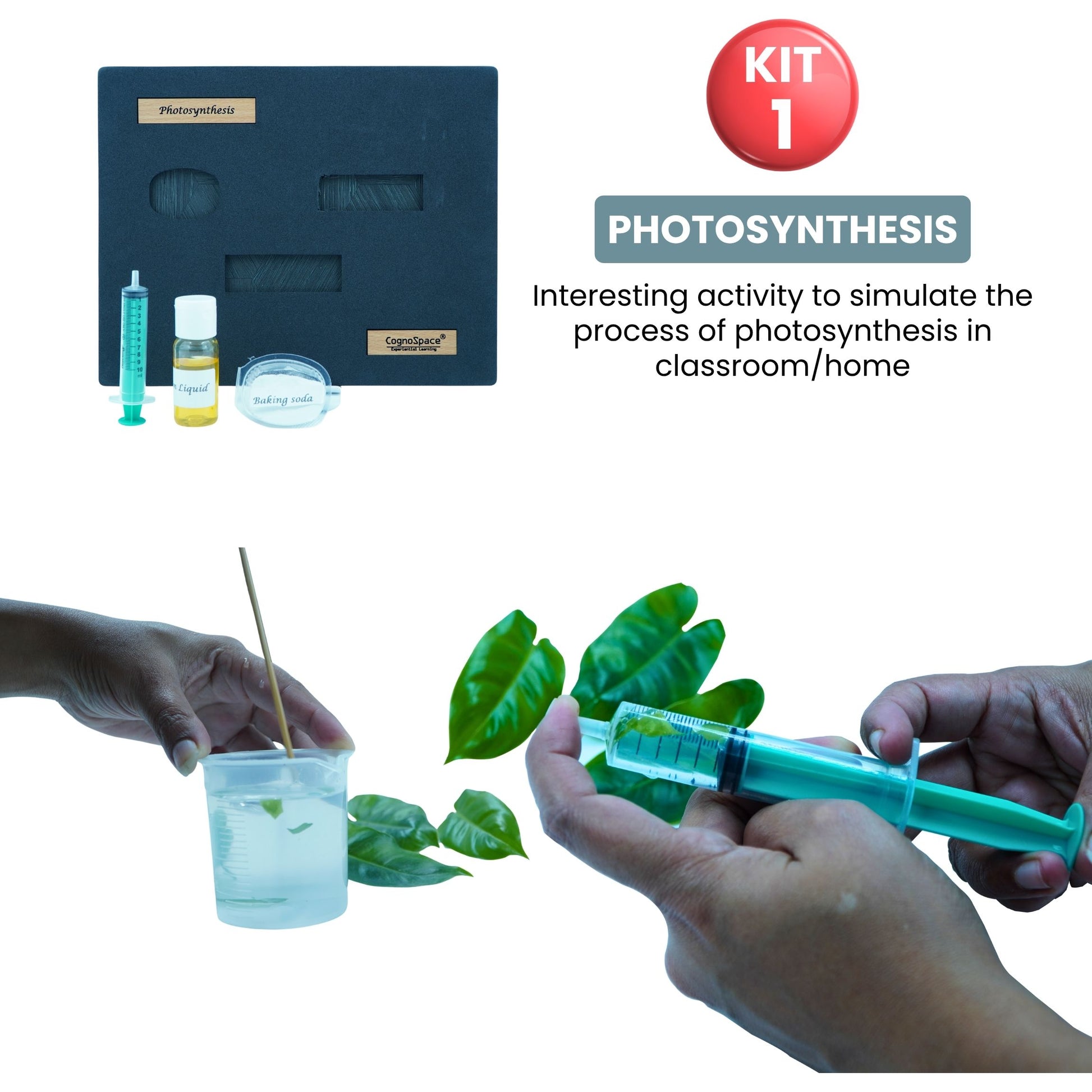 Practiko Class 7 Science Kit – Living & Breathing Earth experiment setup; Student performing Living & Breathing Earth activity – Practiko science learning kit; Science concept demonstration from Living & Breathing Earth kit by Practiko; Hands-on learning with Practiko Living & Breathing Earth science STEM kit; Living & Breathing Earth kit materials and tools for Grade 7 science experiments