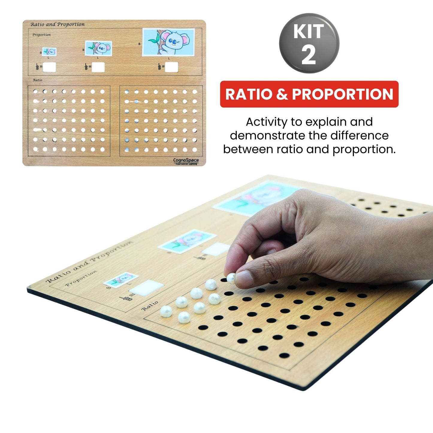 Patterns, Percentages & Problem Solving | 5 kits in 1 Bundle | Math | Grade 7