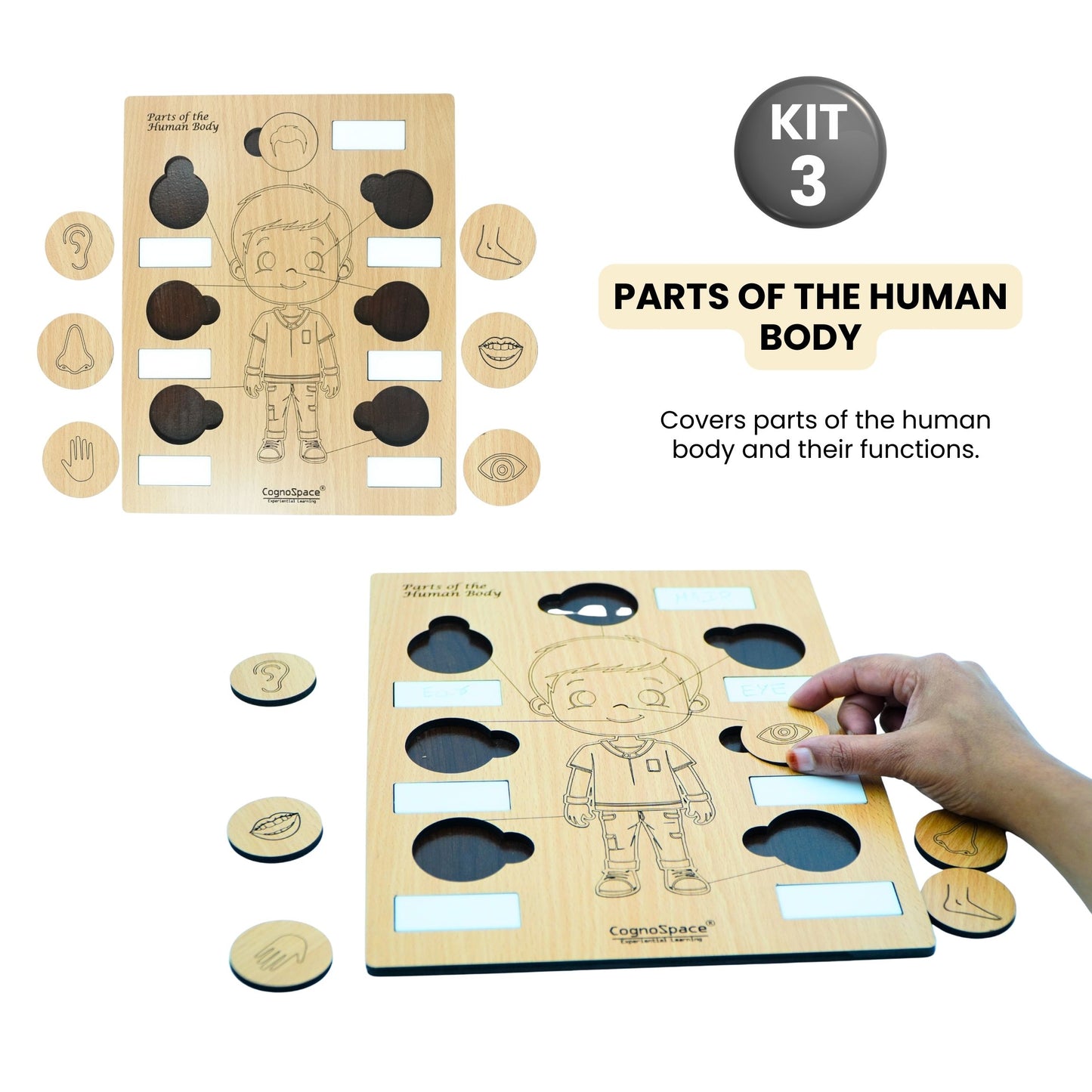 Living Things and Materials – Hands-On Science Kit for Grade 1 with 6 Engaging Concepts