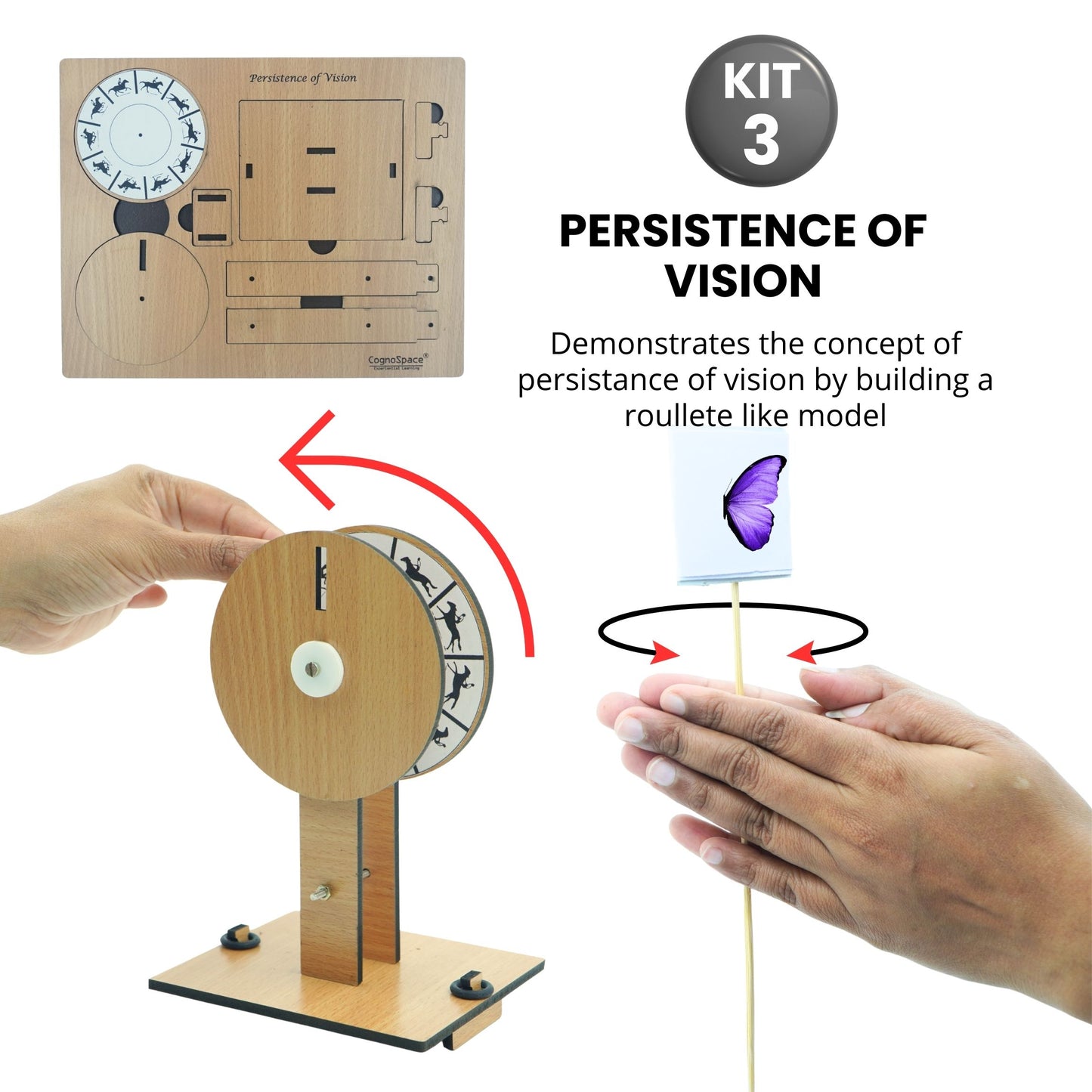 Light, Sound & Perception | 5 kits in 1 Bundle | Science | Grade 8