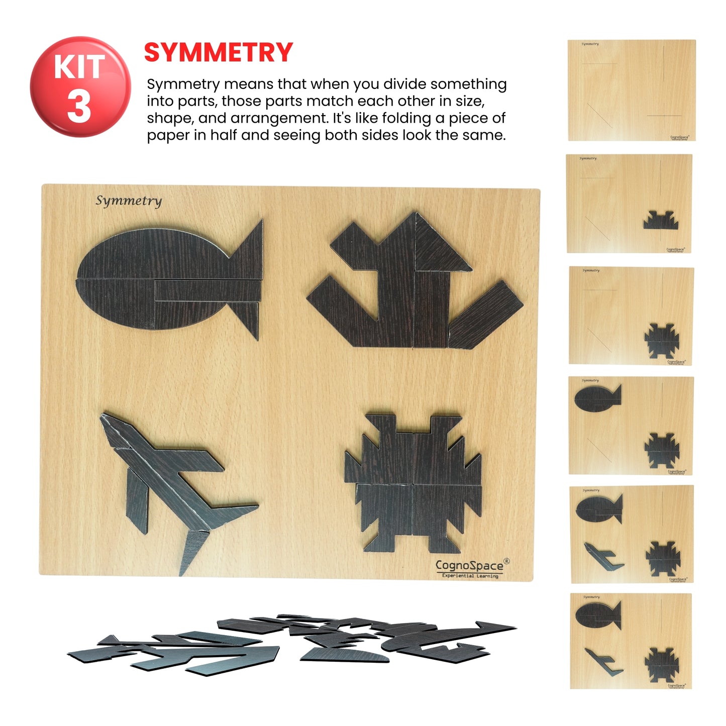 Operations and Measurements | 3 Kits in 1 Bundle | Math | Grade 6