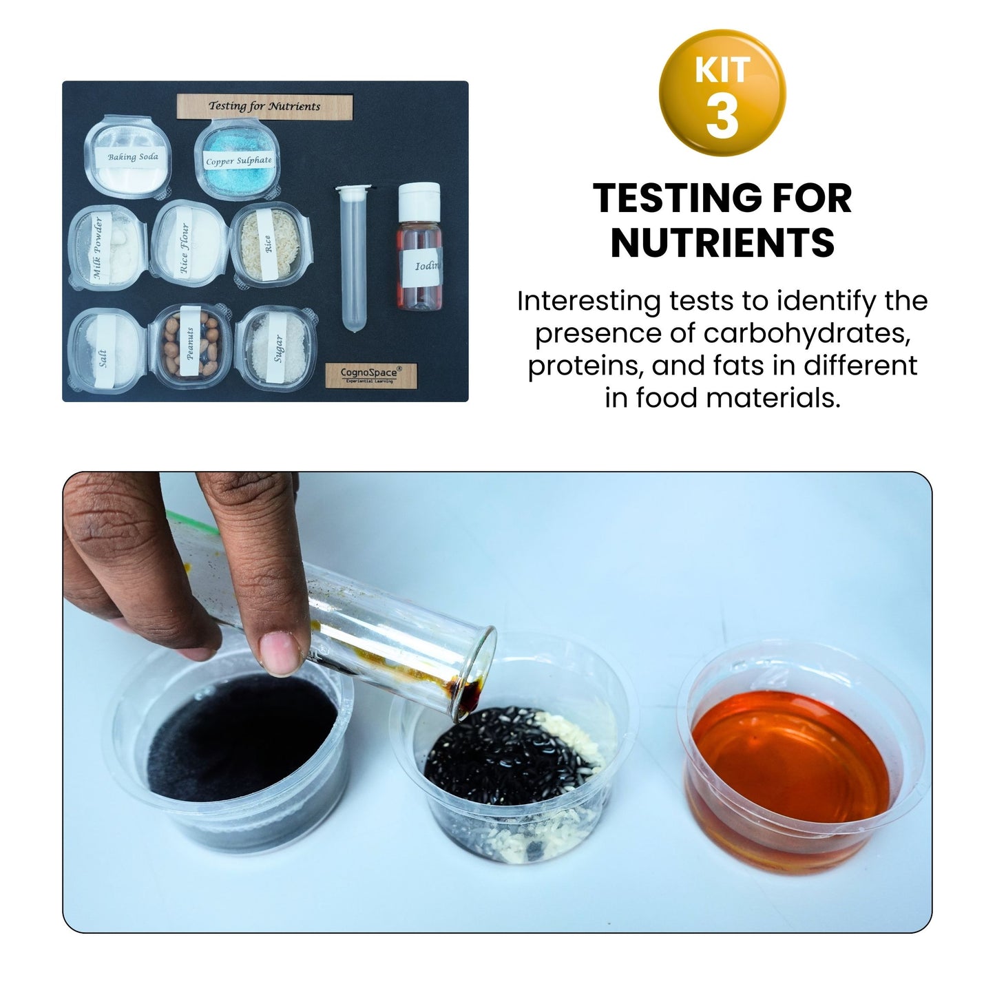 Water & Surface Behavior | 4 kits in 1 bundle | Science | Grade 6