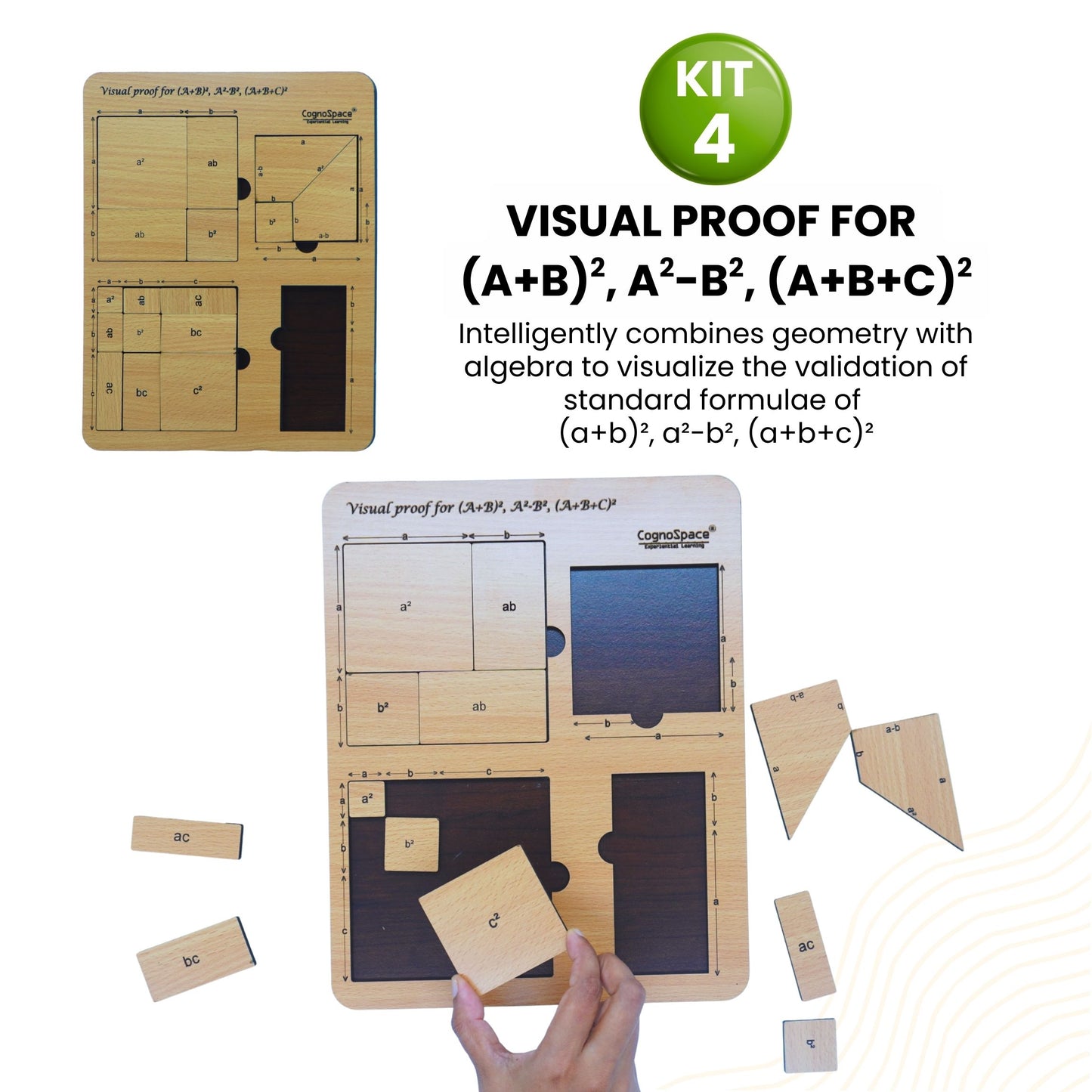 Algebra, Factors & Graphs | 4 kits in 1 Bundle | Math | Grade 8