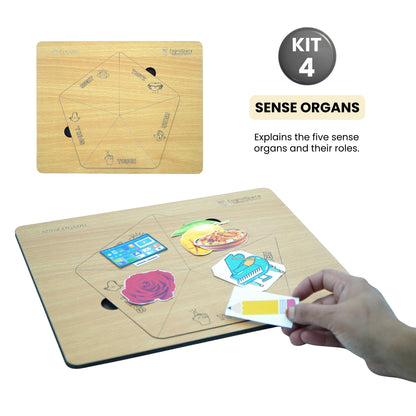Living Things and Materials – Hands-On Science Kit for Grade 1 with 6 Engaging Concepts
