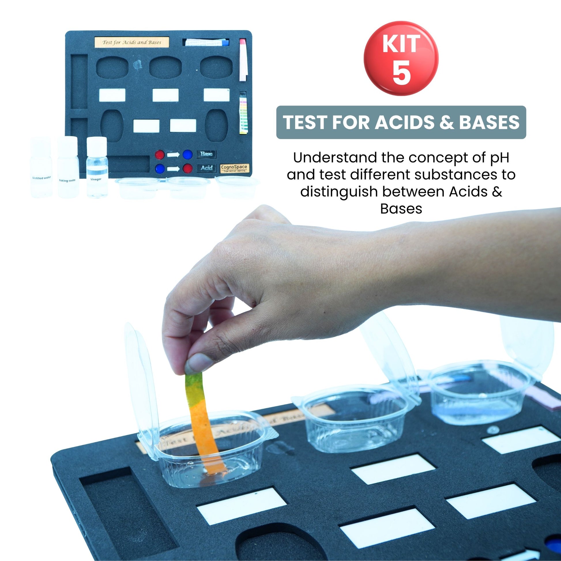 Practiko Class 7 Science Kit – Living & Breathing Earth experiment setup; Student performing Living & Breathing Earth activity – Practiko science learning kit; Science concept demonstration from Living & Breathing Earth kit by Practiko; Hands-on learning with Practiko Living & Breathing Earth science STEM kit; Living & Breathing Earth kit materials and tools for Grade 7 science experiments