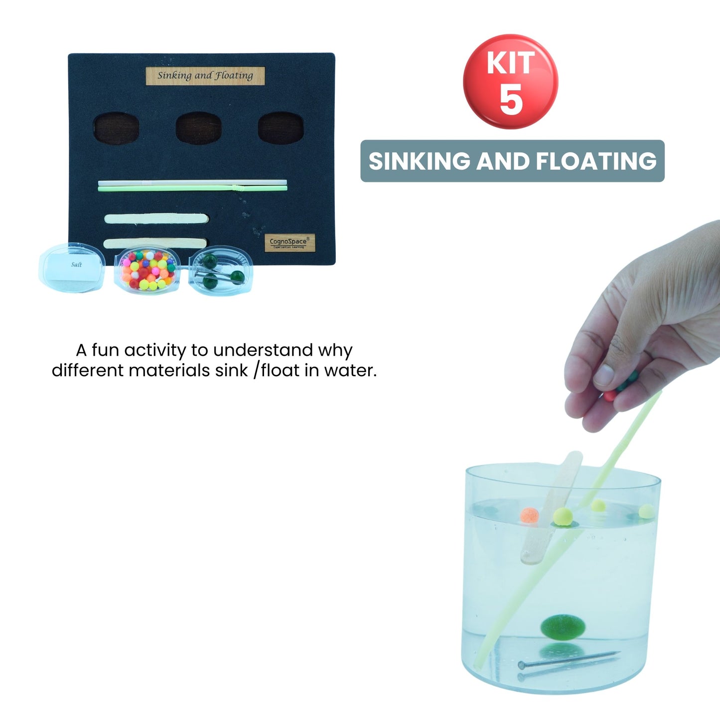 Practiko Class 5 Science Kit – Living Systems & Machines experiment setup; Student performing Living Systems & Machines activity – Practiko science learning kit; Science concept demonstration from Living Systems & Machines kit by Practiko; Hands-on learning with Practiko Living Systems & Machines science STEM kit; Living Systems & Machines kit materials and tools for Grade 5 science experiments