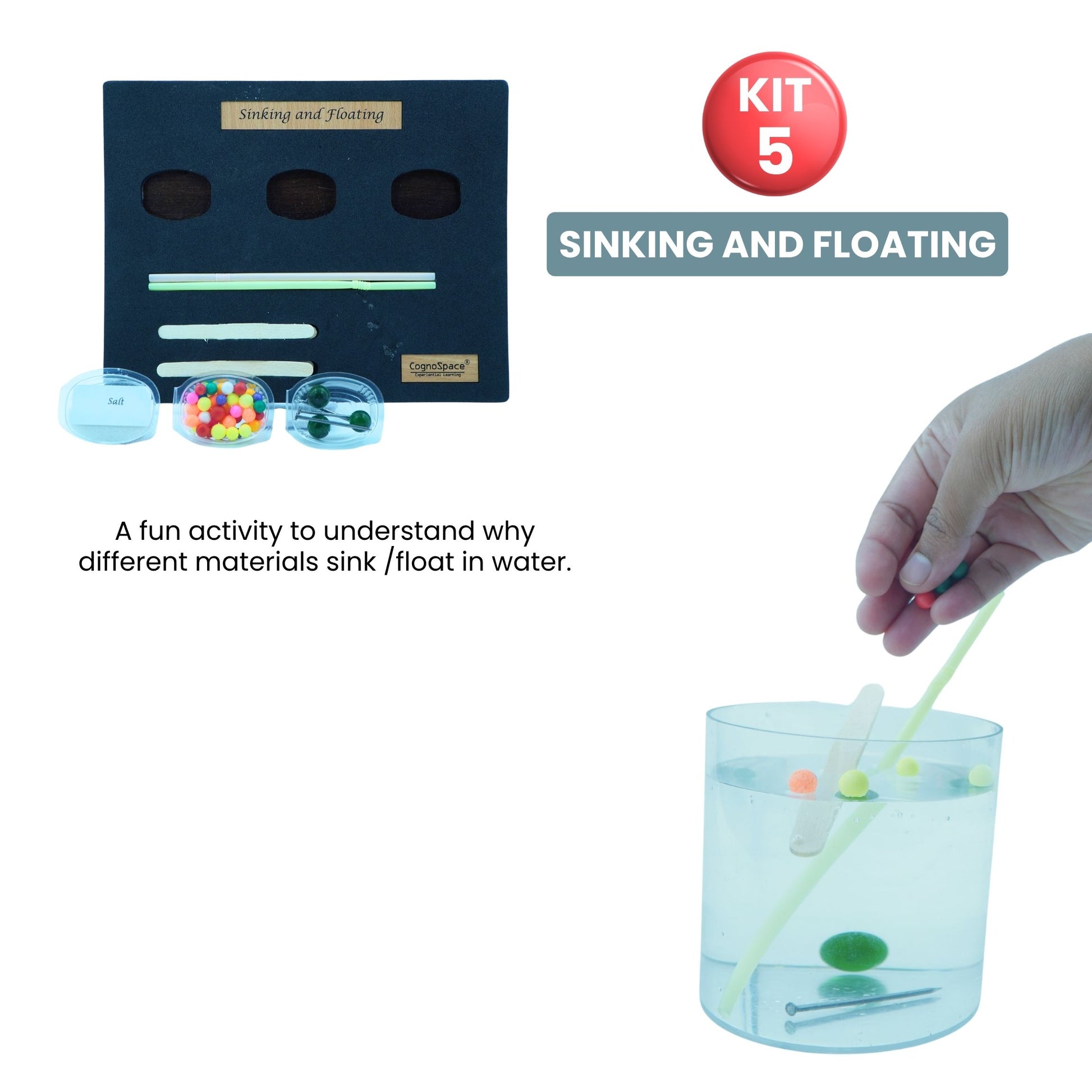 Practiko Class 5 Science Kit – Living Systems & Machines experiment setup; Student performing Living Systems & Machines activity – Practiko science learning kit; Science concept demonstration from Living Systems & Machines kit by Practiko; Hands-on learning with Practiko Living Systems & Machines science STEM kit; Living Systems & Machines kit materials and tools for Grade 5 science experiments